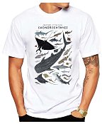 T-Shirt Sharks - CHONDRICHTHYES - Herren T-Shirt 3XL